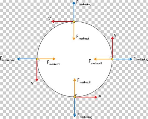 Free Body Diagram Of Circular Motion