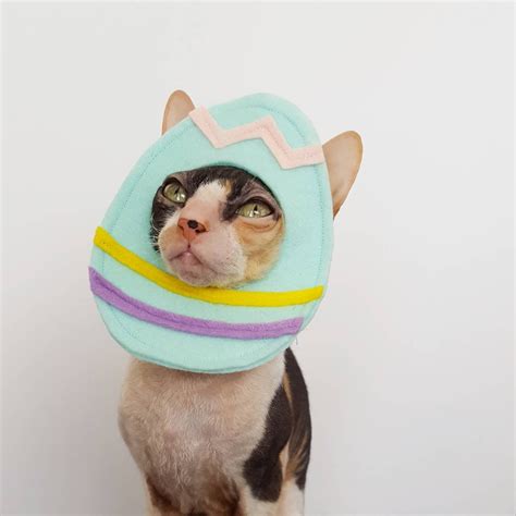 Easter Egg Pet Costume for Cats, Dogs, and Small Pets - Etsy