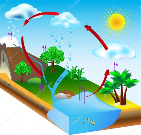 Water cycle. nature. Vector diagram — Stock Vector © edesignua #23572687