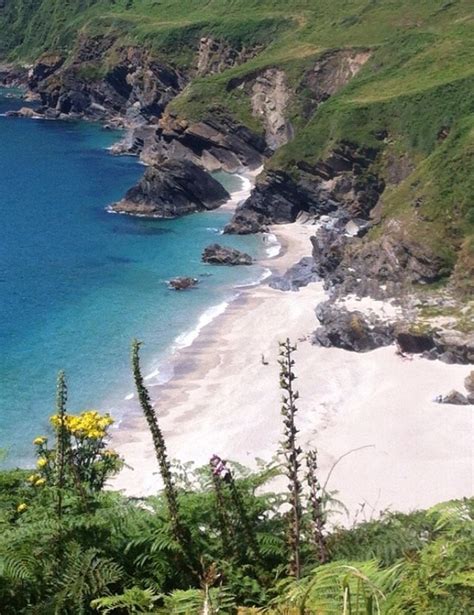 BAY VIEW FARM - Campground Reviews (Looe, Cornwall) - Tripadvisor