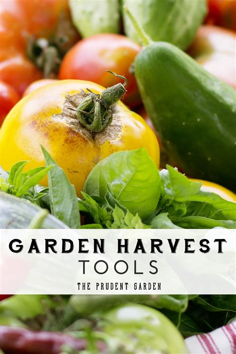 Garden Harvest Tools