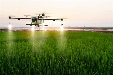 8 Ways Drones can help farmers today