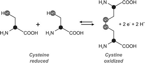 Why is disulfide bond formation considered an oxidation-reduction ...