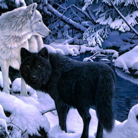 10 Most Popular Black And White Wolves Wallpaper FULL HD 1920×1080 For ...