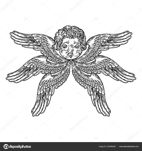 Cherub Wings Winged Baby Angel Isolated White Background Hand Drawn Stock Illustration by ...