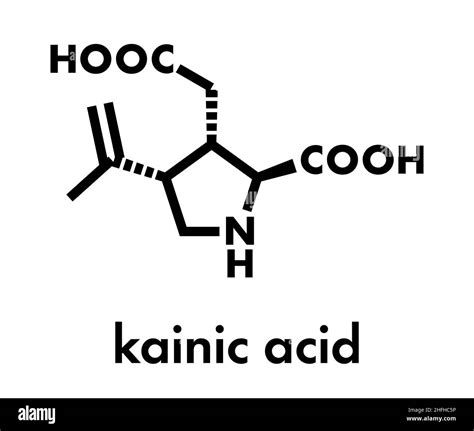 Kainic acid molecule. Direct agonist of the glutamic kainate receptors. Skeletal formula Stock ...