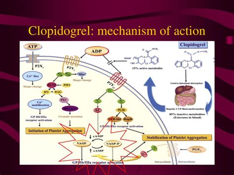 PPT - Perioperative management of antiplatelet therapy in patients with coronary artery stents ...