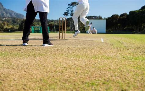 Cricket Pitch Markings: Creases and Guidelines on the Pitch