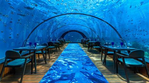 Dine under the sea during a holiday at Kuredu Resort Maldives