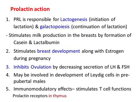 Prolactin Hormone Function