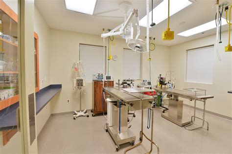 Morningside Animal Hospital - Surgery Room www.kirchmanconstruction.com | Hospital design ...