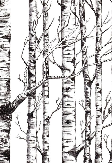Pin on Trees | Birch tree art, Tree drawings pencil, Tree drawing