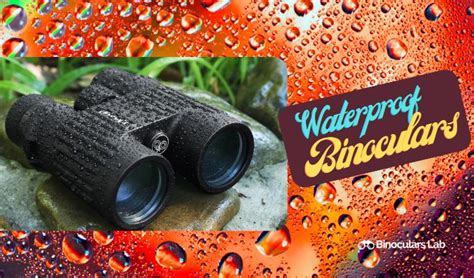 15 Budget-Friendly Waterproof Binoculars You’d Love To Have