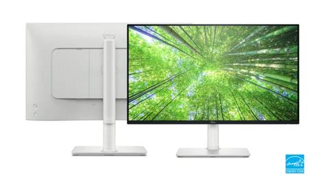 Grab a brand new 24-inch Dell monitor for less than £100 — and it even ...