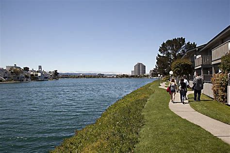 Foster City Lagoon Dyes To Be Blue | Foster City, CA Patch