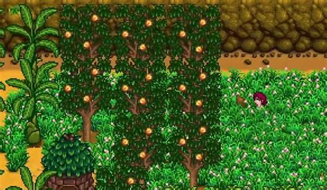 Stardew Valley: The Best Fruit Trees (All 8 Ranked) – FandomSpot