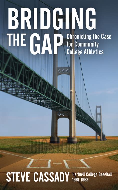 Read Bridging the Gap Online by Steve Cassady | Books