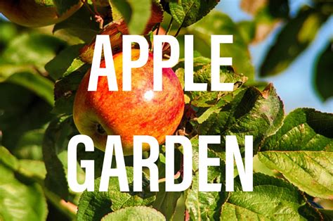 Apple Garden: Everything You Need to Know - Gardening Brain