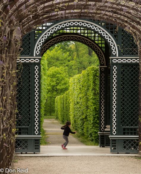 Schonbrunn Palace | Mostly Birding