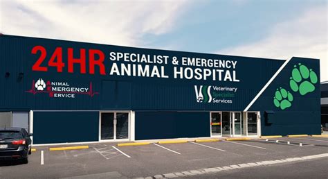 New 24-Hour Animal Hospital Set to Open in Jindalee - Centenary Today