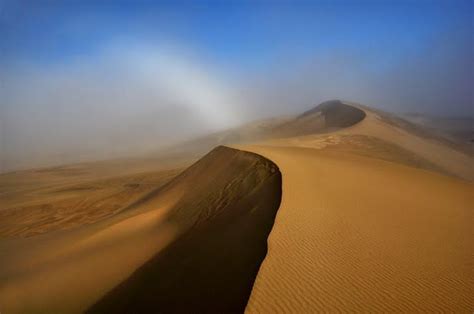 Sand Dunes - Coastal Oregon | Oregon dunes, Camping in washington state ...