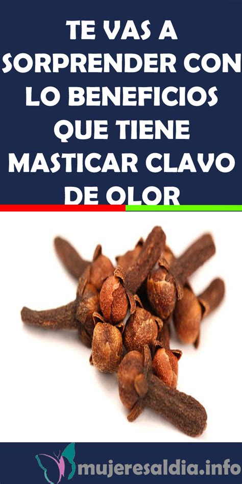 TE VAS A SORPRENDER CON LO BENEFICIOS QUE TIENE MASTICAR CLAVO DE OLOR #CLAVO DE OLOR #MASTICAR ...