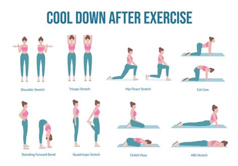 Exercise Poster Stretching Warm Up Cool Down Chart (A1 Laminated ...