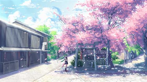 Cherry Blossom Tree Anime Wallpaper