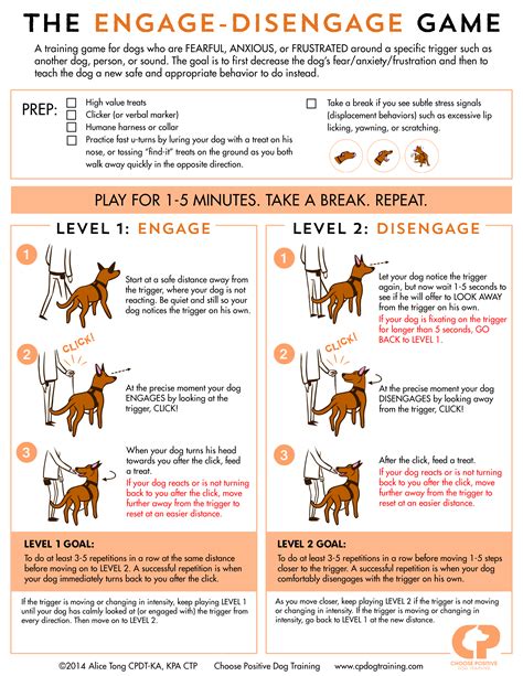 Help for Reactive Dogs