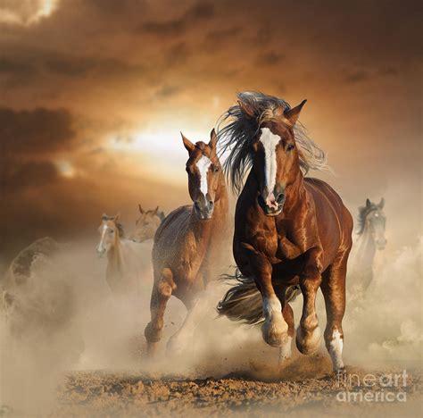 Two Wild Chestnut Horses Running Photograph by Mariait - Pixels