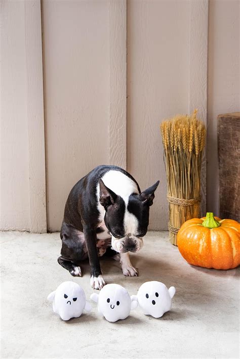 Pearhead + Pet Plush Ghost Dog Toy