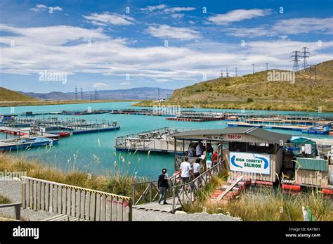 High Country Salmon farm Twizel South Island New Zealand Stock Photo, Royalty Free Image ...