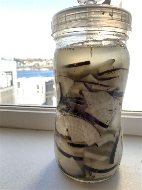 skin-on black radish pickles : r/fermentation