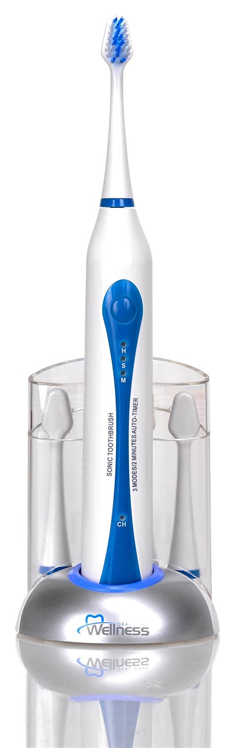 Rechargeable Electric Toothbrush | Pricepulse