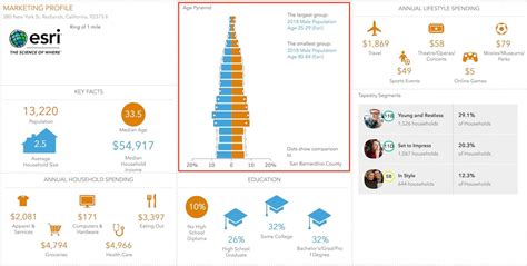 Use Business Analyst Infographics in Your Custom Applications