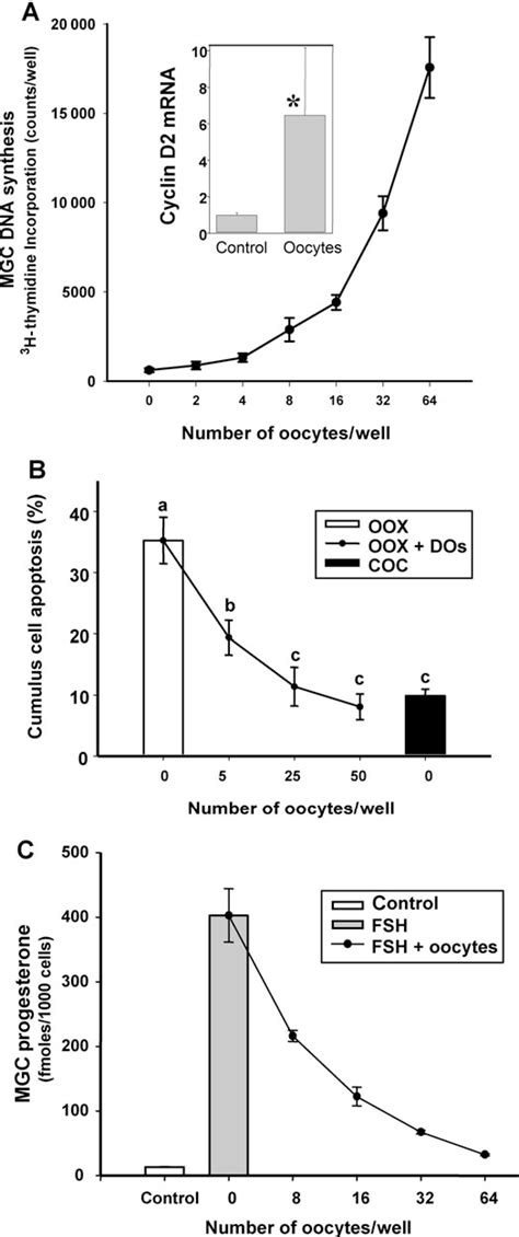 oocyte growth | Semantic Scholar