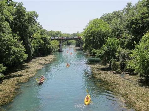 Ladybird Lake | Lady bird lake, Bike trails, Town lake