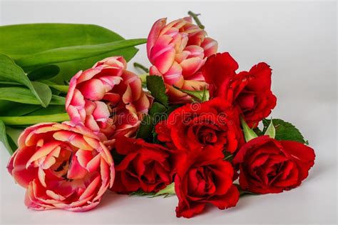 Red roses and tulips stock photo. Image of roses, greeting - 213139856