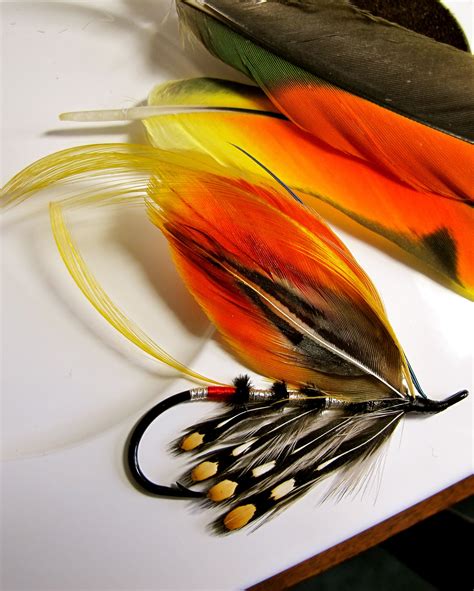 two different colored feathers sitting on top of a white table next to ...