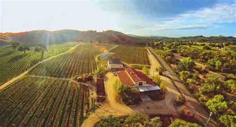 Cass Vineyard & Winery wins Winery of the Year - Paso Robles Daily News