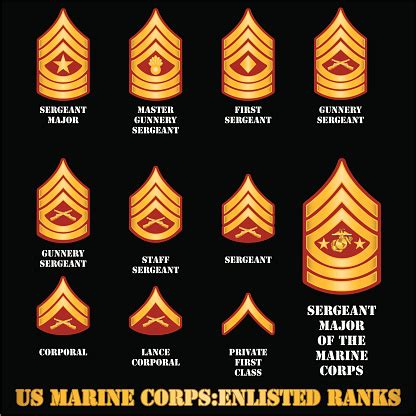 Us Marine Corps Enlisted Ranks Stock Illustration - Download Image Now - iStock