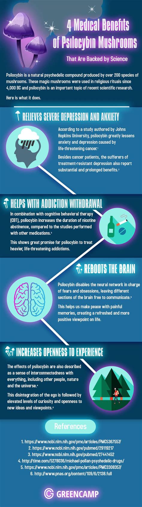 4 Medical Benefits of Psilocybin Mushrooms - Infographic Portal