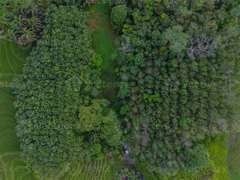 Aerial view of green rice terraces in Indonesia 21588734 Stock Photo at ...