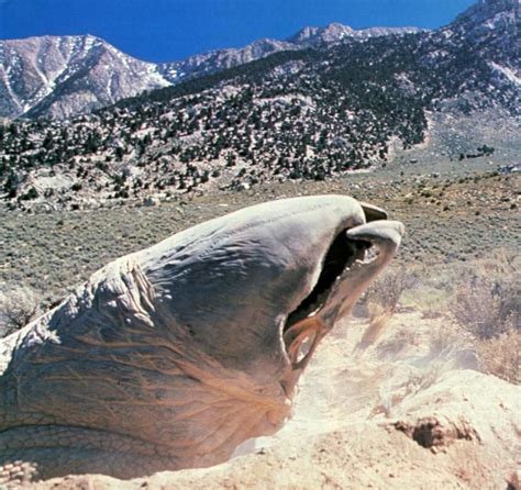 Graboid in the wilderness, from TREMORS (1990) | Movie monsters, Alien ...