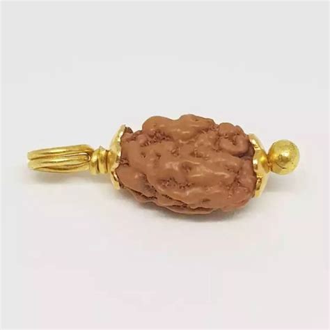 2 Mukhi Rudraksha – Altar of Angel