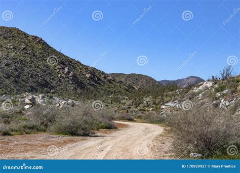 Southwest Desert Landscape with Desert Plants in Springtime, Camping, Hiking and Adventure in ...