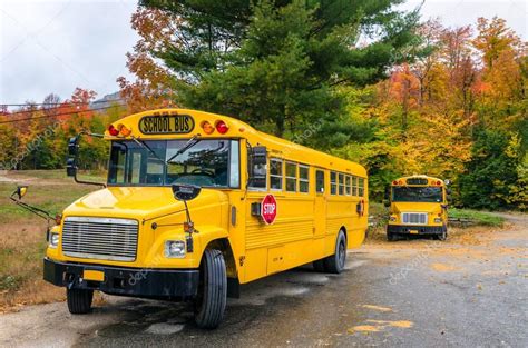 Yellow School Buses Stock Photo by ©Alpegor6 130190370