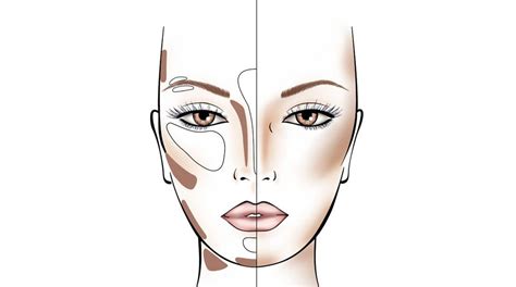 How to contour an oval shape face? – MAKE UP FOR EVER | Contouring and highlighting, Face ...