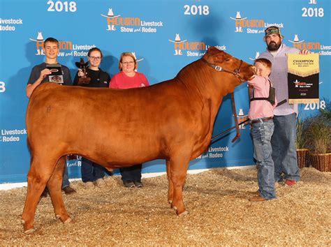 WINNERS – Ryan Sweet Show Cattle