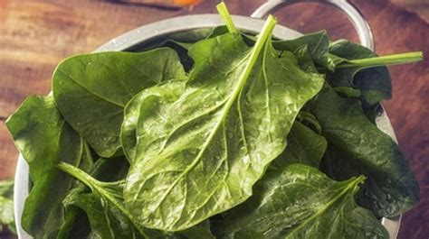 Las mejores ensaladas verdes para cuidarte y comer rico